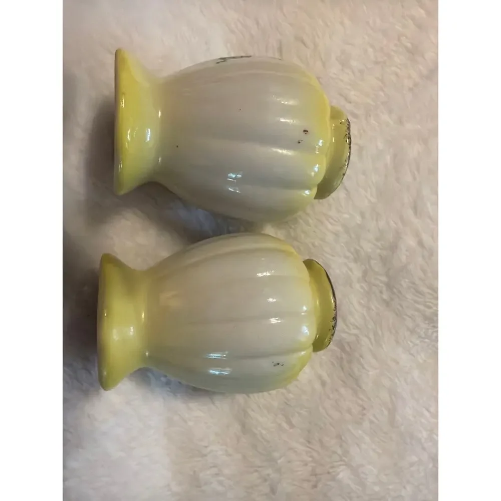 Vintage Hand Painted Rose Porcelain Salt & Pepper Shakers Pair Cork Stoppers